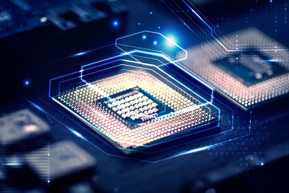 两只公鸡为什么会打架,答两只公鸡为了一只母鸡 男子高速与公鸡打架